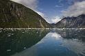 031 Tracy Arm